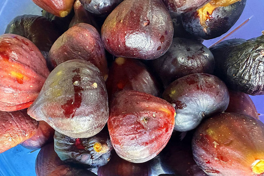 Confettura fatta in casa